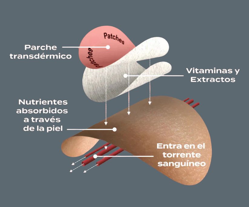 🍴 DEJA DE PICAR Y TOMA EL CONTROL 💪 - Parches GLP-1 (60 + 30 GRATIS)